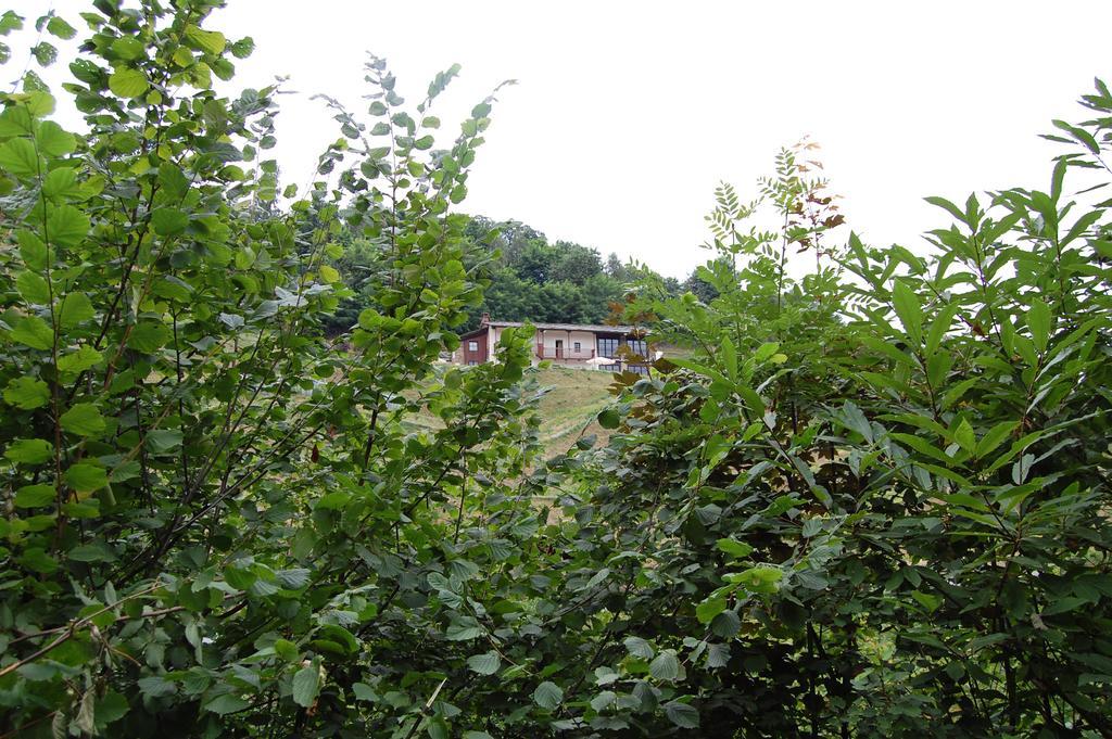 Sere Di Sosta Bagnolo Piemonte Exteriér fotografie